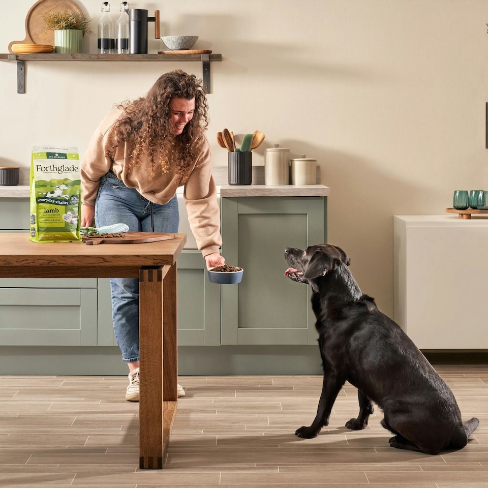 image 1 of 2kg Lightly Baked Lamb Dry Dog Food