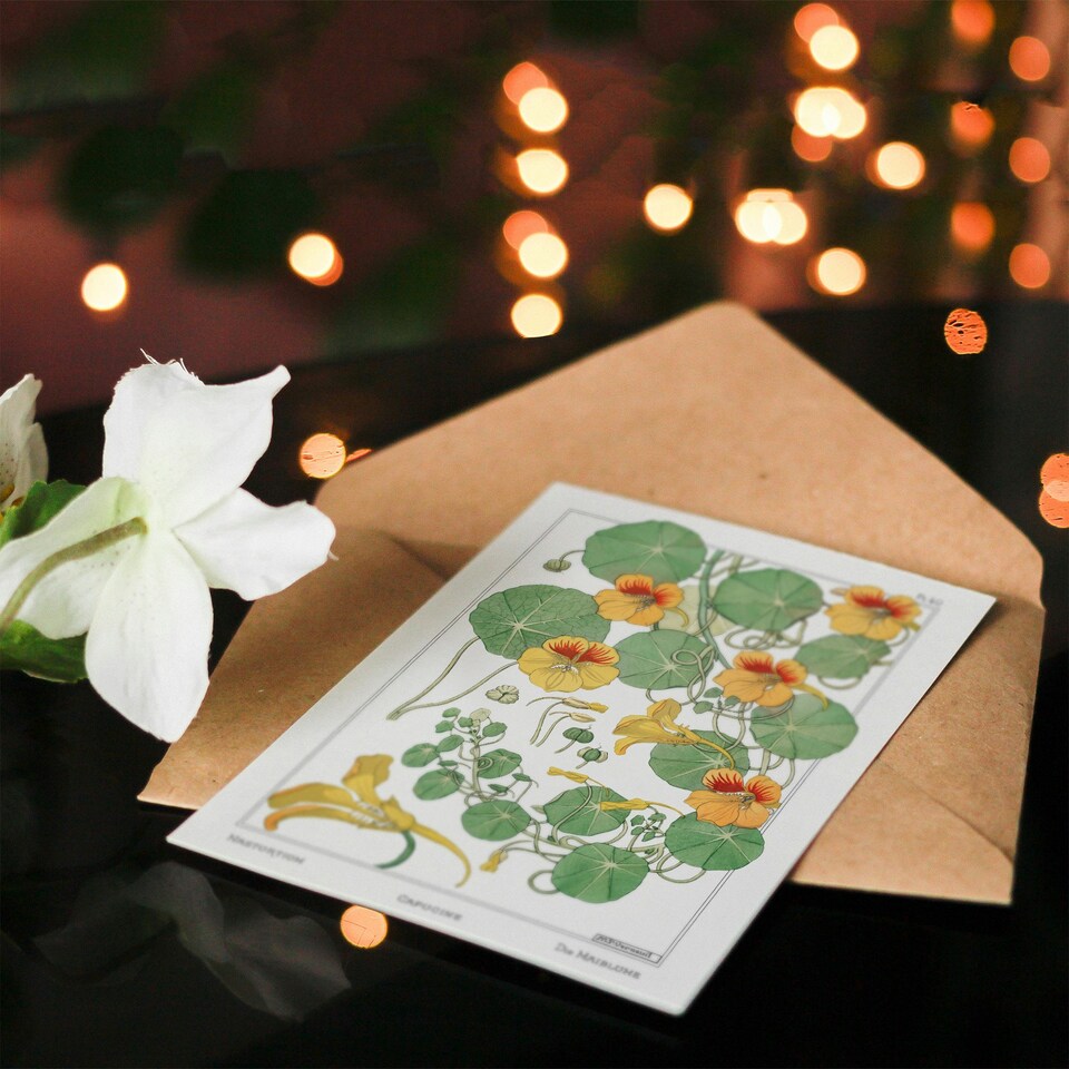 image 1 of Maurice Pillard Verneuil Art Card Nasturtium Flower