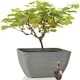 image 1 of Primrose Stone and Resin Composite Planter Volcanic Grey Frost Resistant 43cm