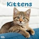 image 1 of Kittens 2026 Calendar | Square Wall Calendar | Cat Gift | Plastic Free Packaging | by Avonside Publishing