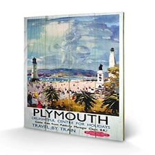 PLYMOUTH (1) - WOOD PANEL