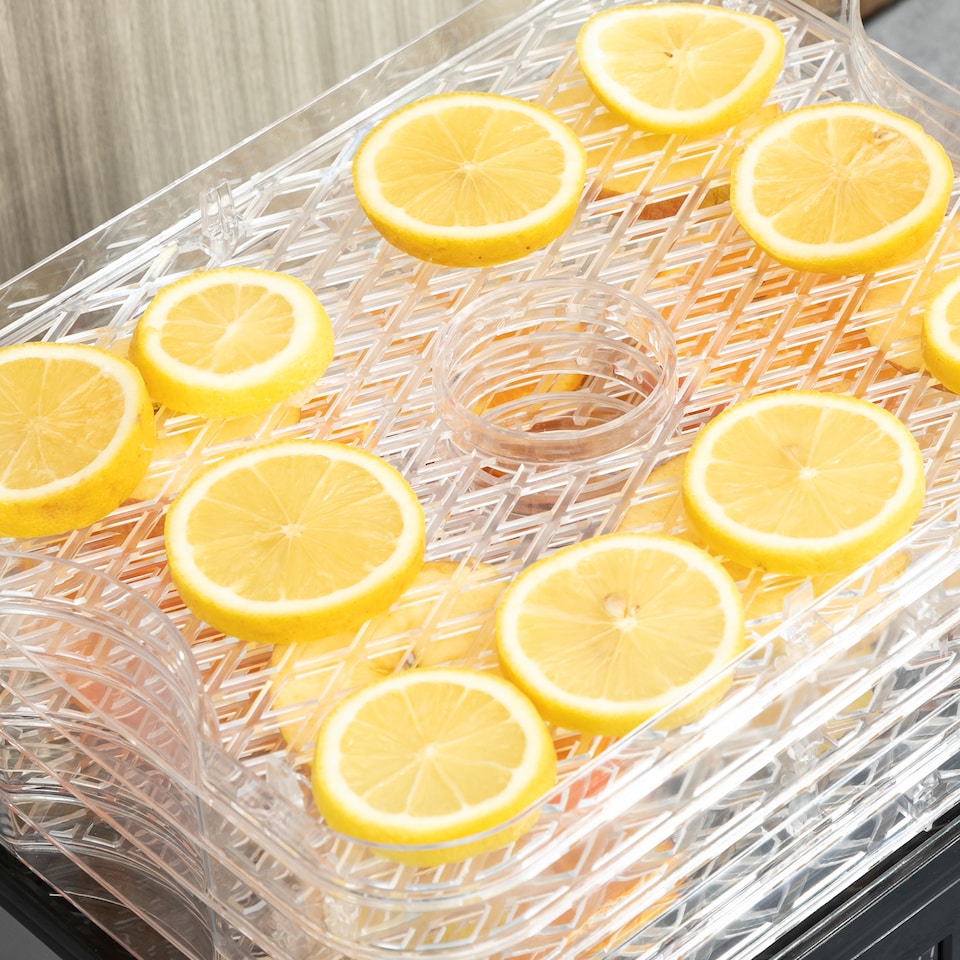 image 1 of HOMCOM 5 Tier Food Dehydrator, 245W Stainless Steel Food Dryer Machine with Adjustable Temperature, Timer and LCD Display for Drying Fruit, Meat, Vegetable, Jerky and Pet Treat, Black