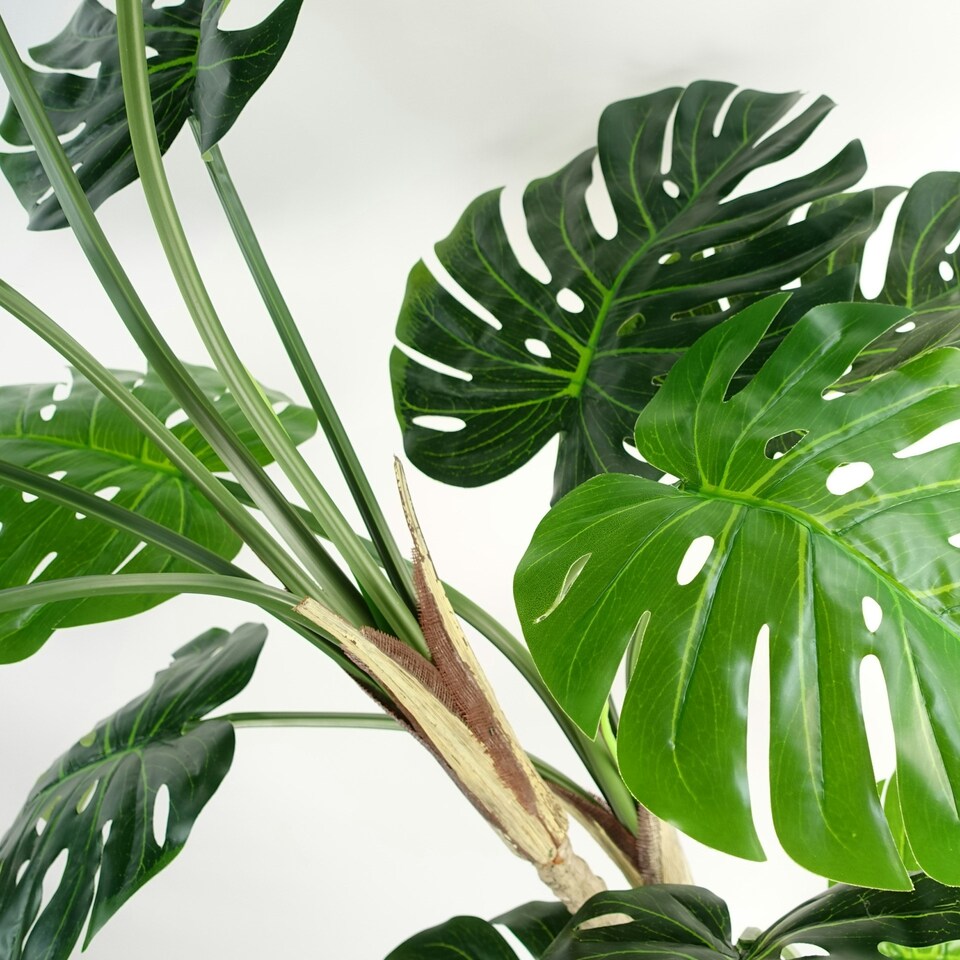 image 1 of Artificial Monstera Plant 150cm Luxury Cheese Plant 5ft Tall Botanik