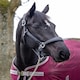 image 8 of LeMieux Stitched Leather Headcollar Brown | Full