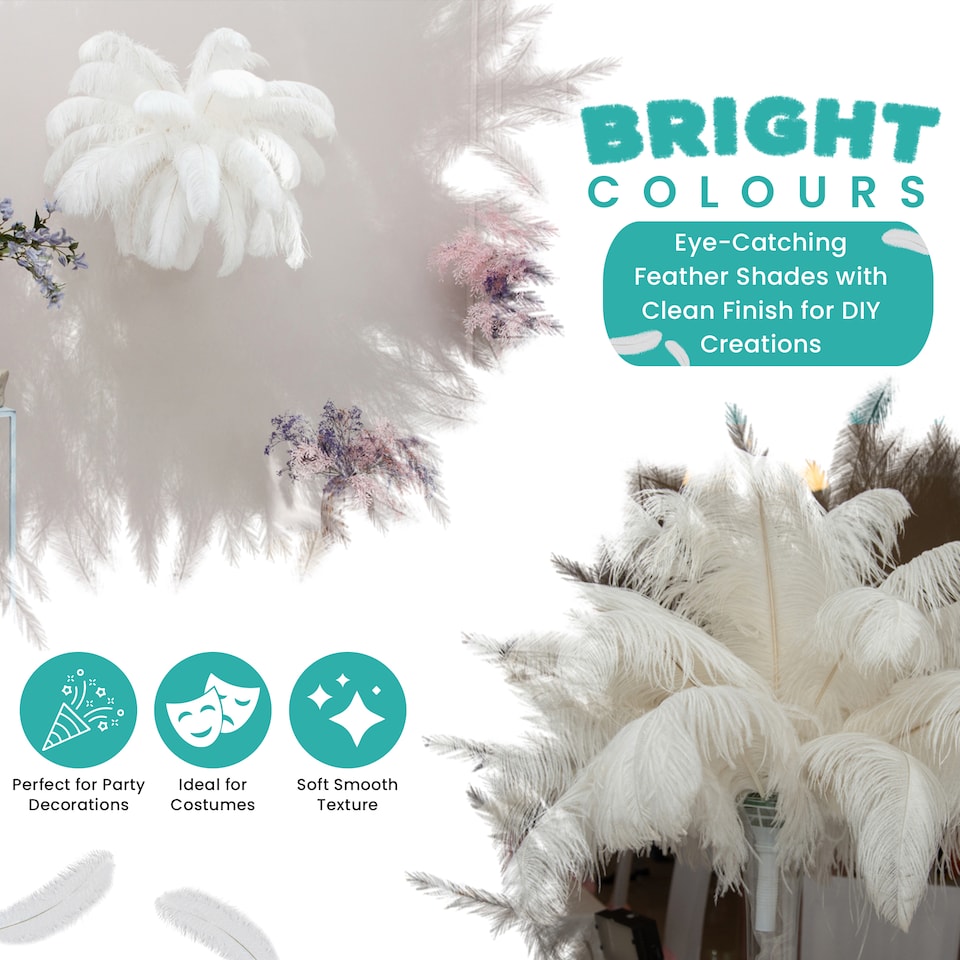 image 1 of 50cm - 60cm Large Ostrich Feathers, Showgirl Spadones - 5pcs