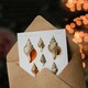 image 3 of Vintage Marine Life Art Card Molluscs from the Northen Sea