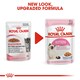 image 9 of ROYAL CANIN® Kitten Wet Food N/A | Texture: Jelly
Size: 12 x 85g