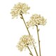 image 3 of Hill Interiors Allium Spray Artificial Flower - Cream - One Size