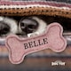 image 2 of History & Heraldry Pre-Personalised Squeaky Bone Dog Toy - Belle