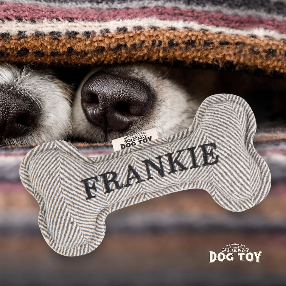 image 1 of History & Heraldry Pre-Personalised Squeaky Bone Dog Toy - Frankie