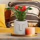image 10 of Textured Concrete Effect Beige Oval Face Planter Indoor L19 D18 H18.5 cm, 3.3 ltrs Cap.