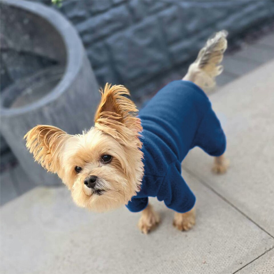 image 1 of HugglePets Legacy Polar Fleece Explorer Dog Jumper Suit Blue | One Size