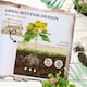 image 7 of Outsunny Outdoor Raised Garden Bed with Cold Frame Greenhouse and Openable Top