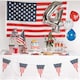 image 2 of American Party USA Round Biodegradable Paper Plates 23cm - Pack of 10
