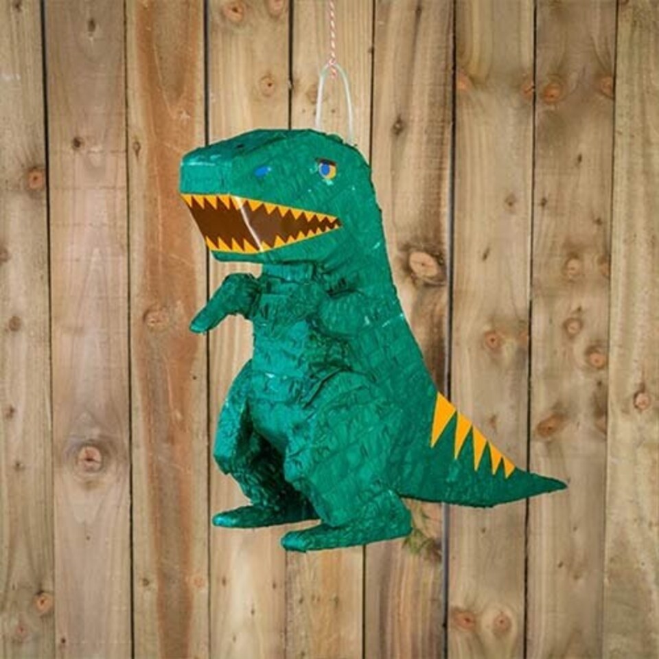 image 1 of Dinosaur Standard Pinata 48cm