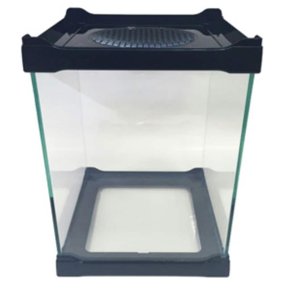 image 1 of Betta Mini Terrarium 16cm x 16cm x 21cm