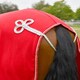 image 4 of Rhinegold Show Fleece Red | Size: 5ft 9
Colour: Red