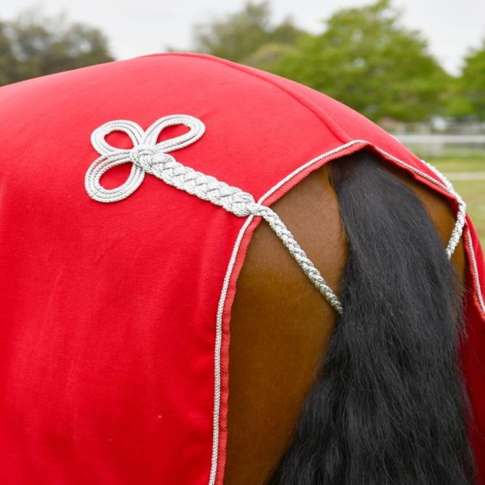 image 1 of Rhinegold Show Fleece Red | Size: 5ft 9
Colour: Red