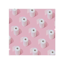 Toilet Rolls Splash Back | White
