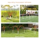 image 3 of PawHut Dog Agility Equipment Set with 4 PCS Weave Pole, Orange