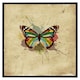 image 2 of Butterfly & paint splats (Picutre Frame) Grey | L