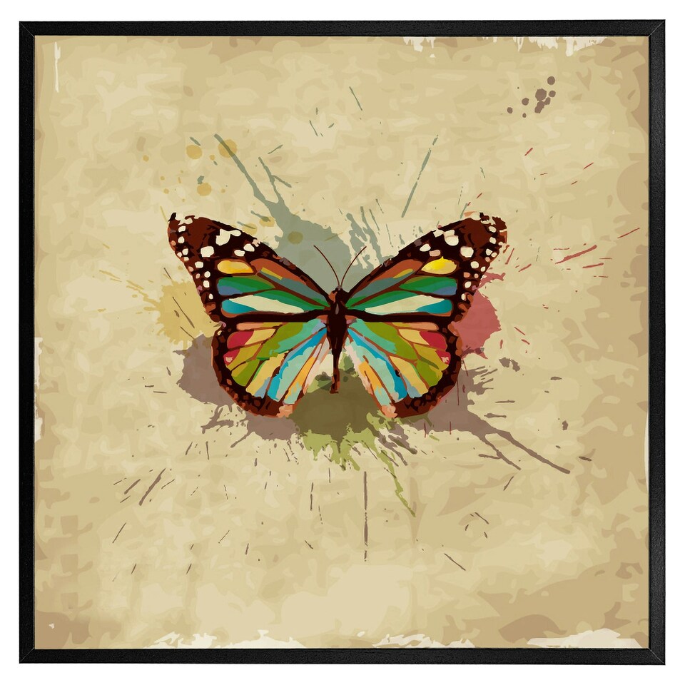 image 1 of Butterfly & paint splats (Picutre Frame) Grey | L
