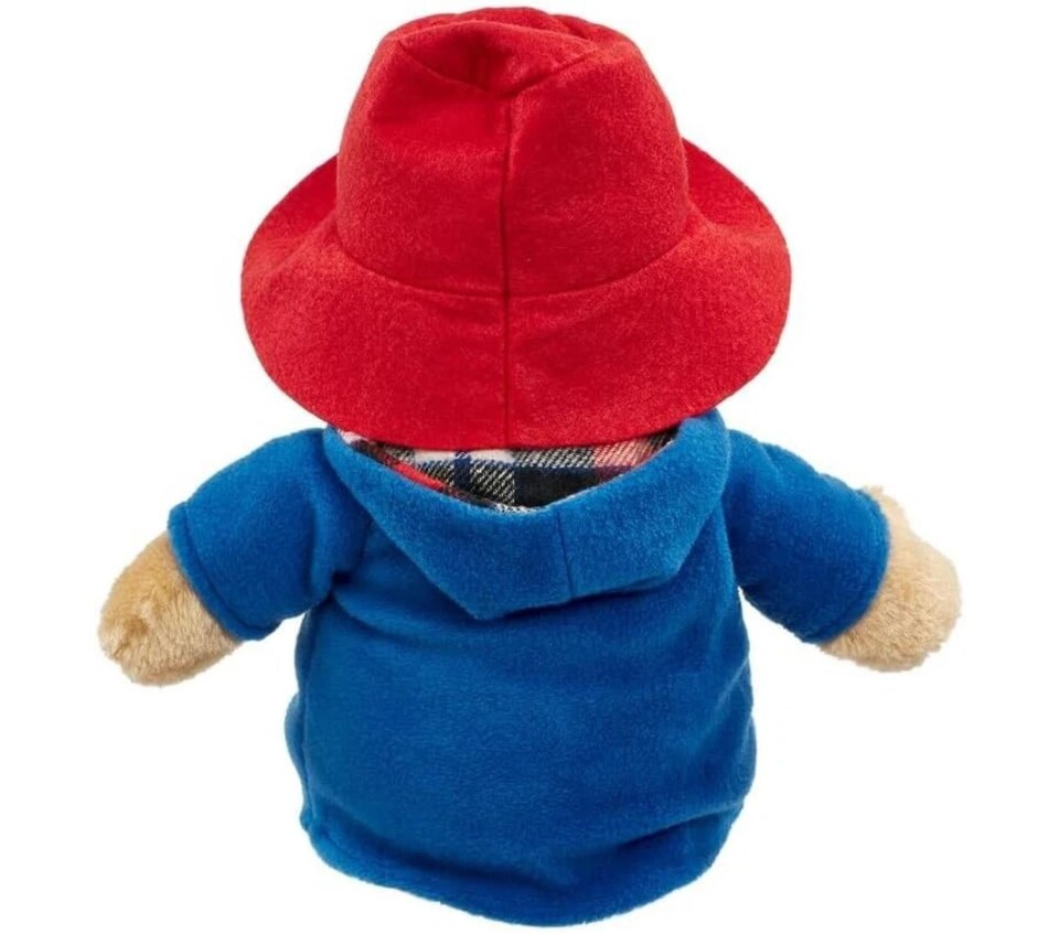 image 1 of Paddington Bear Rainbow Designs Plush Cuddly Soft Toy Small Kids Gift