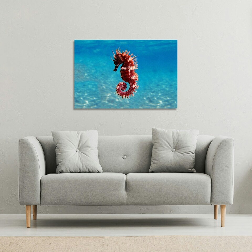 image 1 of Mediterranean Seahorse (Canvas Print) 31 x 41 x 4cm