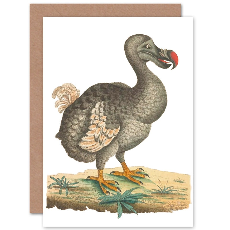 image 1 of Dodo Extinct Animal Bird Vintage Illustration Greetings Card