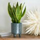 image 5 of Pisa Planter Orange