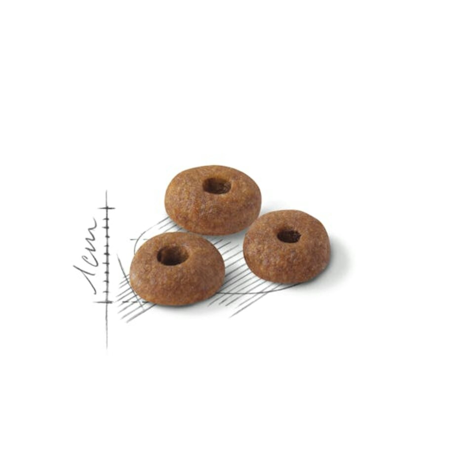 image 1 of Royal Canin Cat Fit 32 4KG