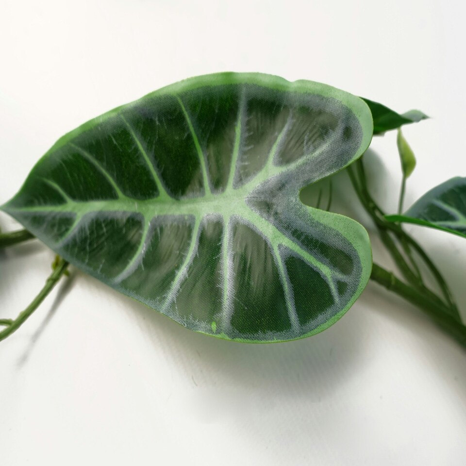image 1 of Artificial Hanging Trailing Plant Amazonica Plant