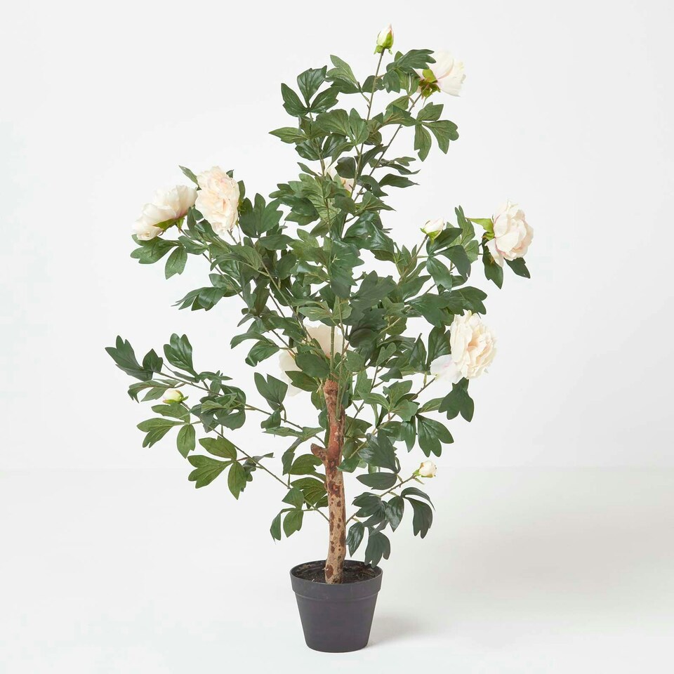 image 1 of Homescapes Peach Artificial Peony Tree in Black Pot, 100 cm Tall