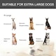 image 8 of PawHut 81x125cm Metal Dog Cage Kennel w/ Locking Door & Wheels Extra Large Pets