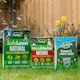 image 2 of Westland Natural Lawn Rescue Bundle small 80m2