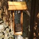 image 2 of Tom Chambers Melrose Wooden Garden Wild Bird Hanging Easy Fill Peanut Feeder