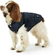 image 1 of Rosewood Joules Cherington Coat For Dogs - Large | Multi