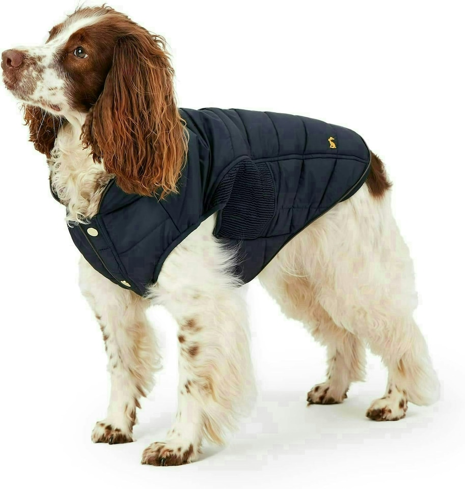 image 1 of Rosewood Joules Cherington Coat For Dogs - Large | Multi