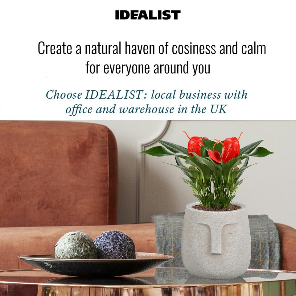 image 1 of Textured Concrete Effect Beige Oval Face Planter Indoor L19 D18 H18.5 cm, 3.3 ltrs Cap.