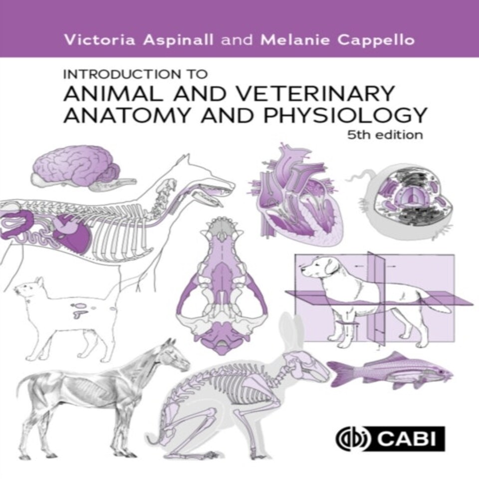 Introduction To Animal And Veterinary Anatomy And Physiology