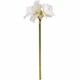 image 1 of Classic White Amaryllis Artificial Flower (Single Stem) - Plastic - L35 x W35 x H81 cm - Cream/Green