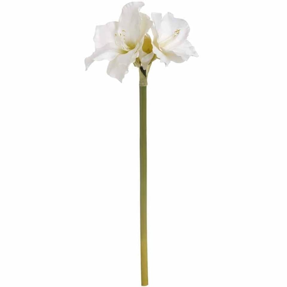 image 1 of Classic White Amaryllis Artificial Flower (Single Stem) - Plastic - L35 x W35 x H81 cm - Cream/Green