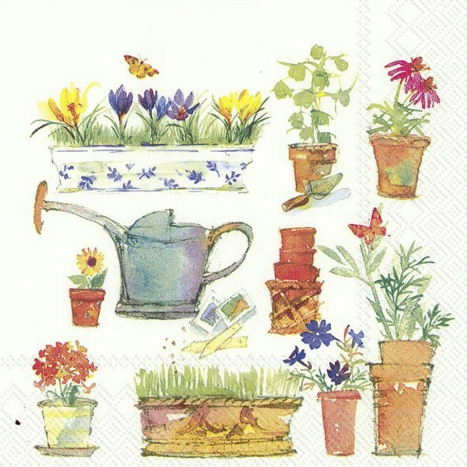 IHR Spring Garden Cocktail Napkin 25cm 3ply 20 Pack
