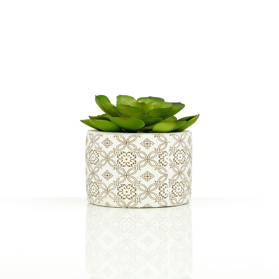 image 1 of Fiori Set of 3 Succulents in Henna Ceramic Pots