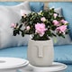 image 10 of Textured Concrete Effect Beige Oval Face Planter Indoor L30.5 D29.5 H29.5 cm, 13.9 ltrs Cap.