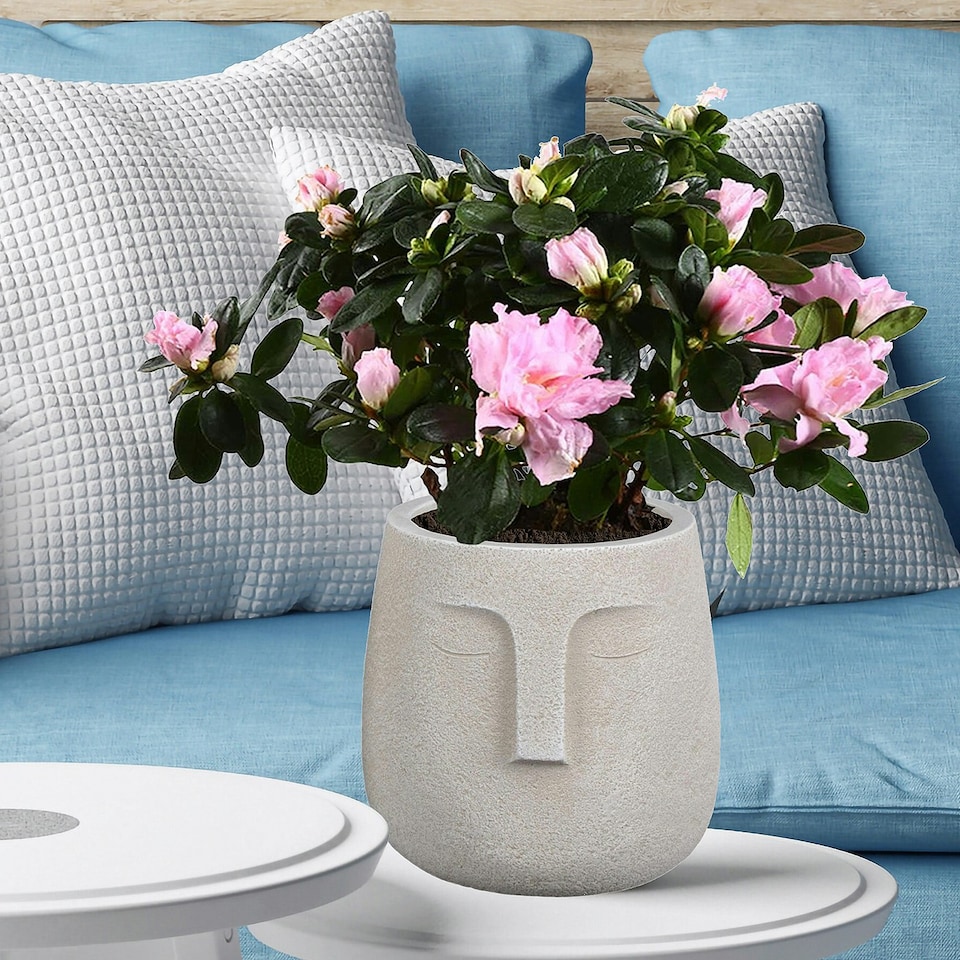 image 1 of Textured Concrete Effect Beige Oval Face Planter Indoor L30.5 D29.5 H29.5 cm, 13.9 ltrs Cap.