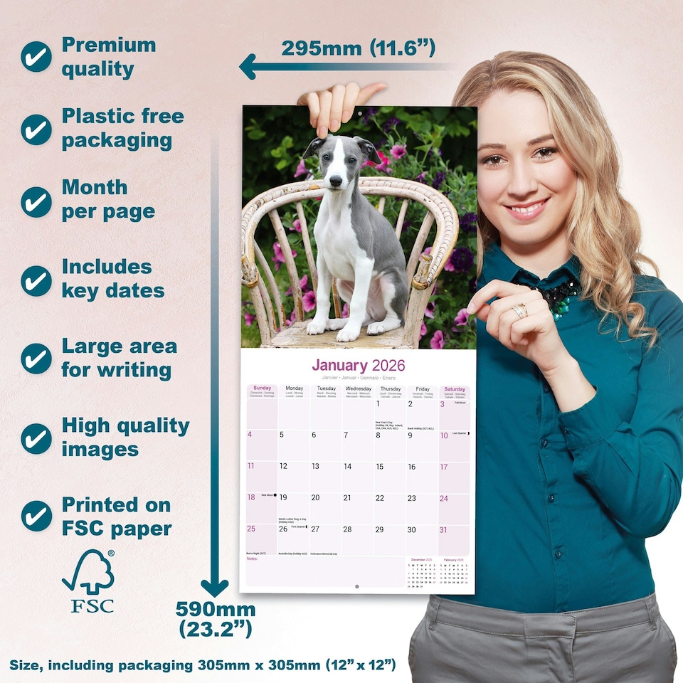 image 1 of Whippet 2026 Calendar | Square Wall Calendar | Dog Breed Gift | Plastic Free Packaging | by Avonside Publishing