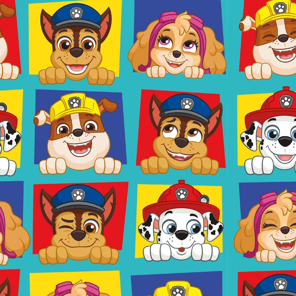image 1 of Paw Patrol 2 Sheets & 2 Tags Gift Wrap