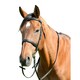 image 1 of Kincade Classic Leather Horse Cavesson Bridle With Reins - Black - Cob