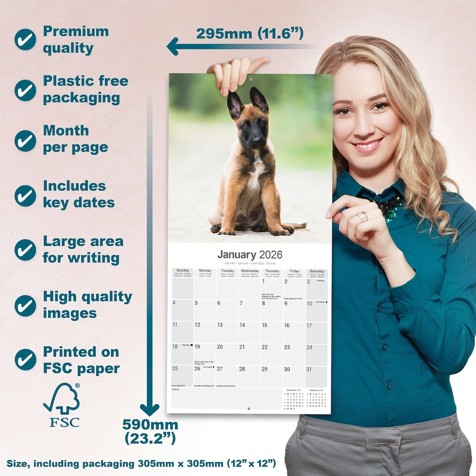 image 1 of Belgian Shepherd Dog 2026 Calendar | Square Wall Calendar | Dog Breed Gift | Plastic Free Packaging | by Avonside Publishing